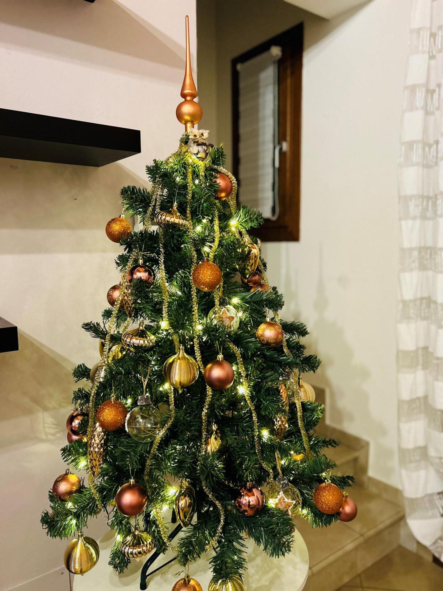 La Casa Di Lory Villa Cessalto ภายนอก รูปภาพ