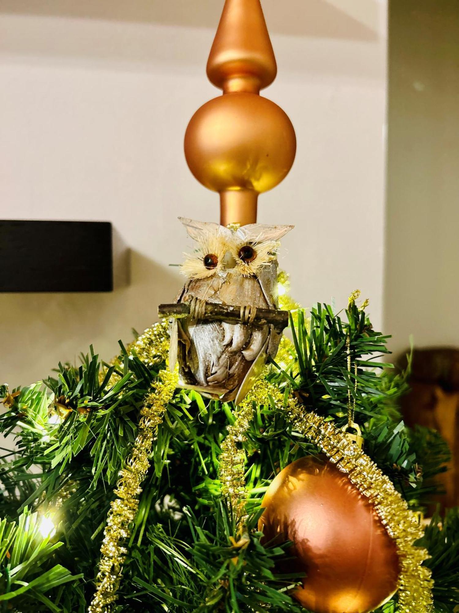 La Casa Di Lory Villa Cessalto ภายนอก รูปภาพ